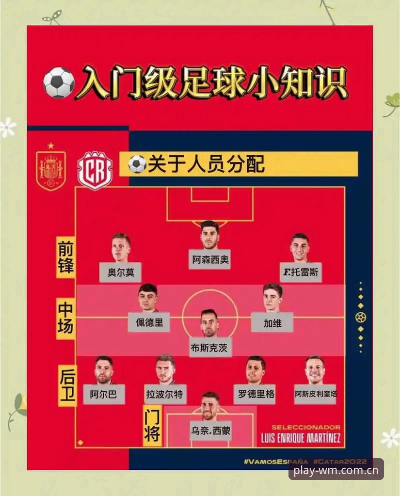 完美体育PC版功能详解 世界杯观赛受阻实用应对指南:签证困境与替代观赛方案